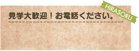 見学大歓迎！お電話ください。